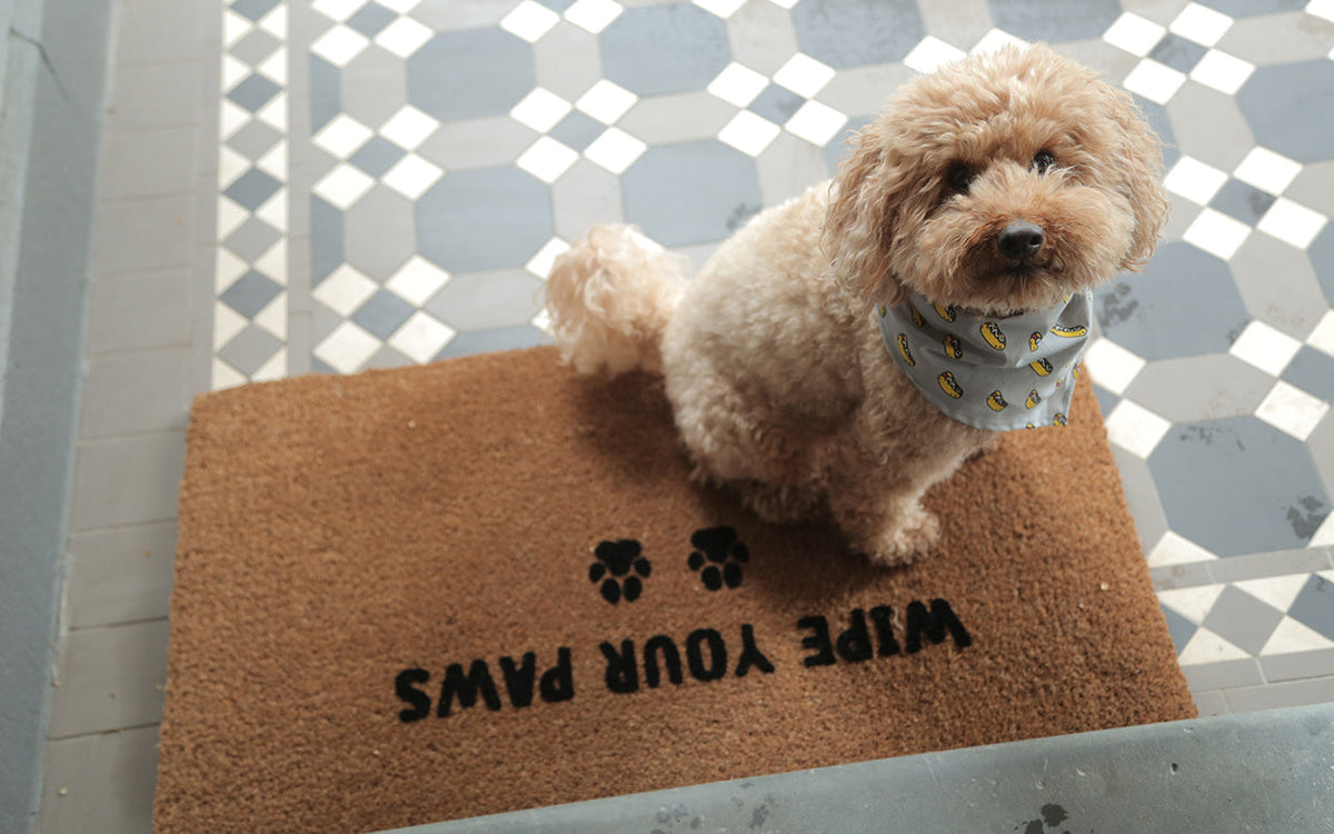 Wipe Your Paws Doormat Embossed