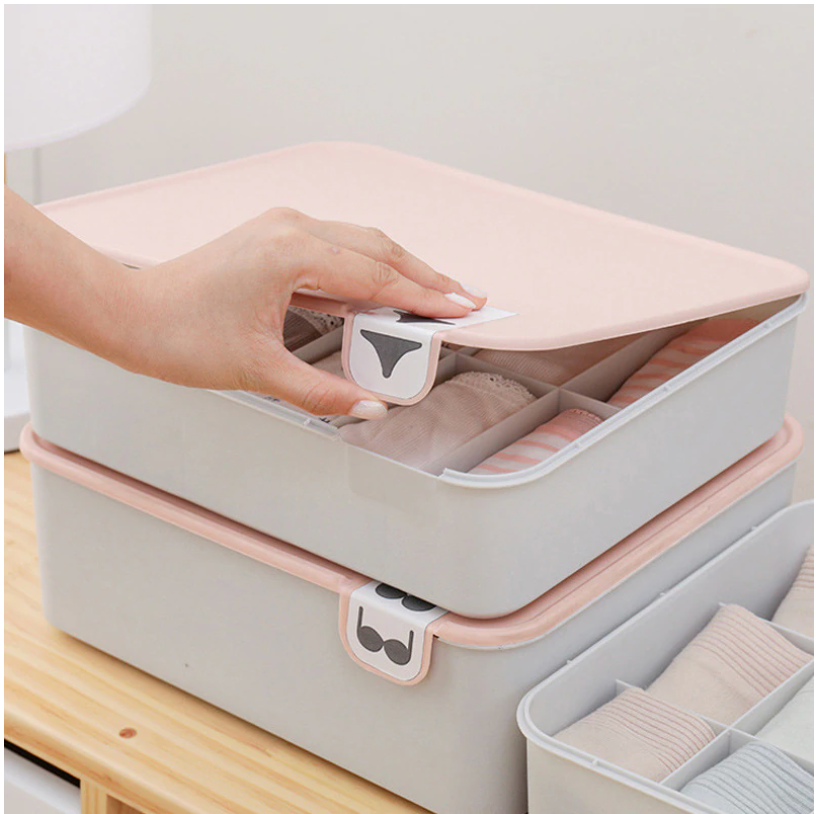 Pastel Lid Underwear Organiser