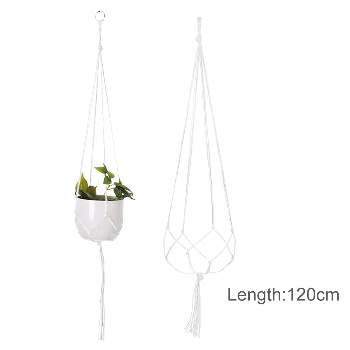 Macrame Plant Hanger