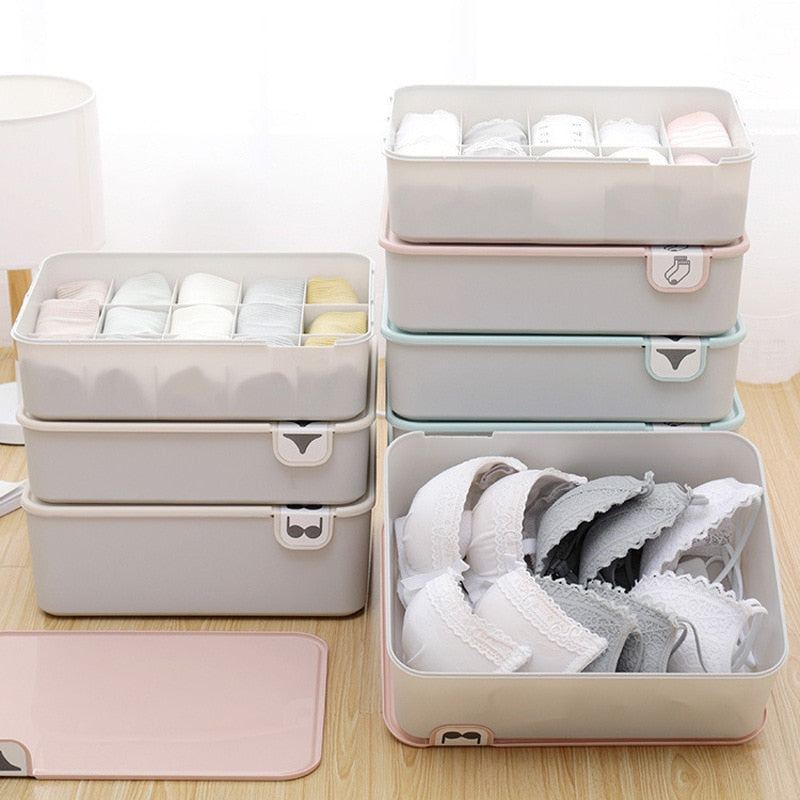 Pastel Lid Underwear Organiser