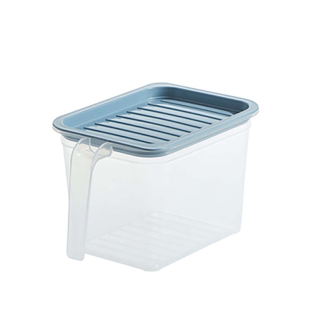 Transparent Storage Container with Handle