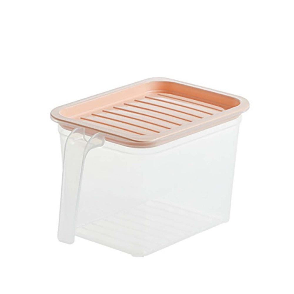 Transparent Storage Container with Handle