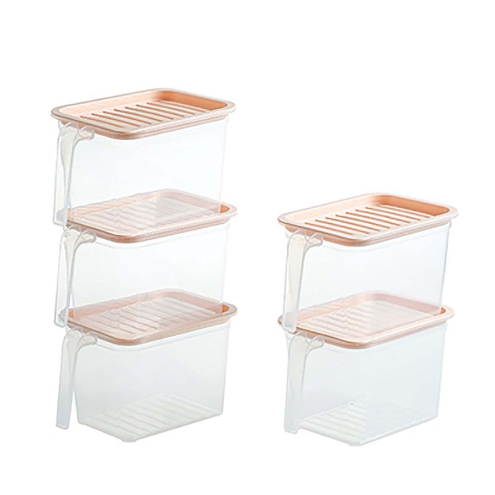 Transparent Storage Container with Handle